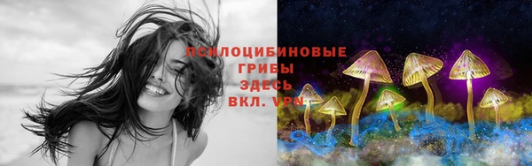 мескалин Богданович