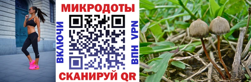 купить наркотик  Острогожск  Псилоцибиновые грибы ЛСД 