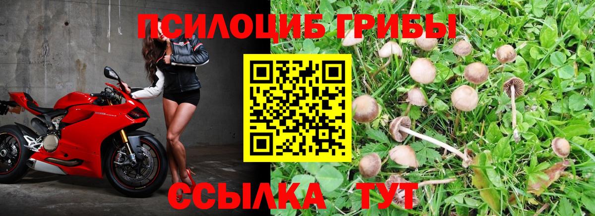 Галлюциногенные грибы мухоморы  Галлюциногенные грибы Magic Shrooms  где можно купить наркотик  Вход с VPN  Острогожск 